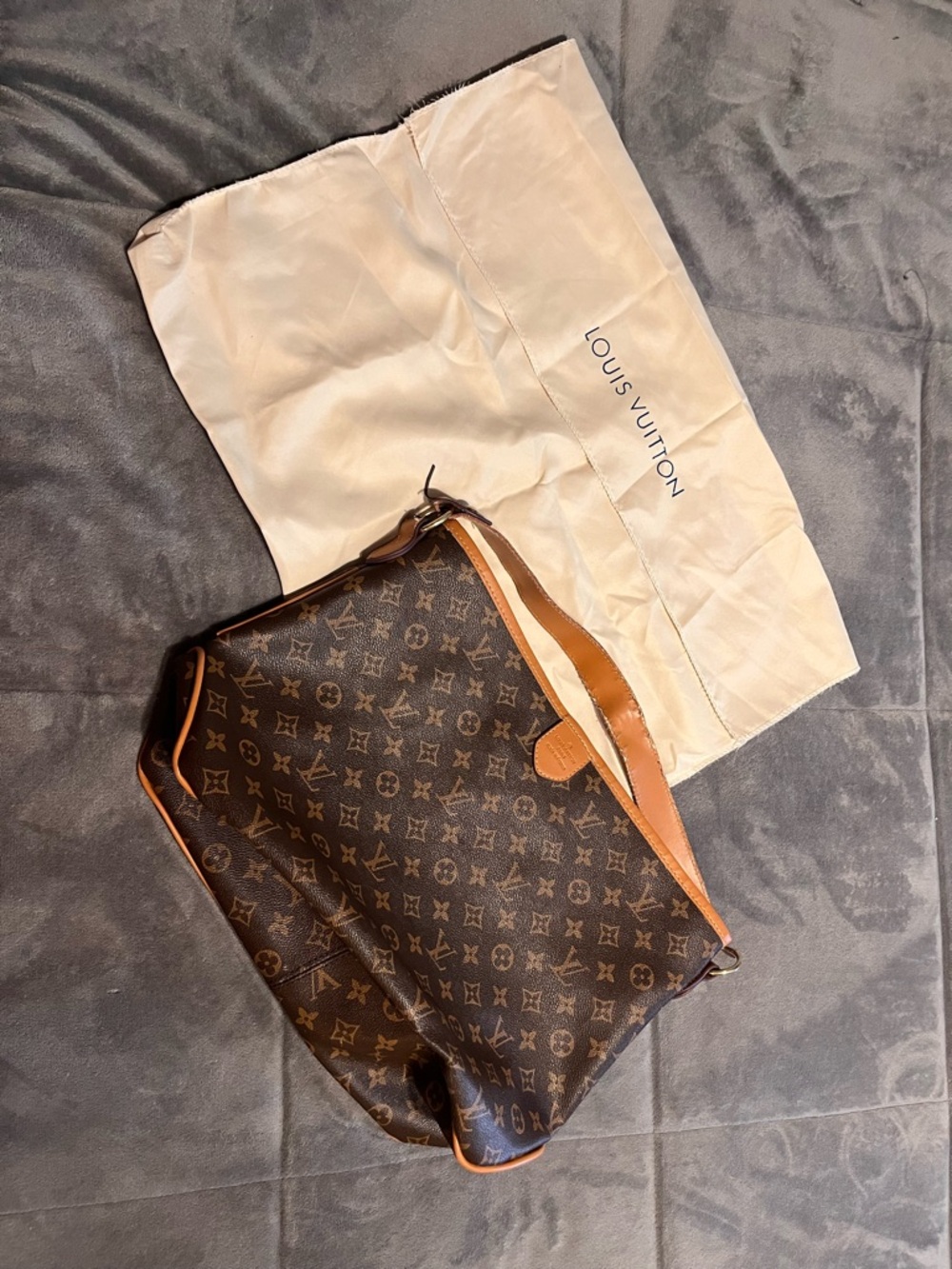 Louis Vuitton purse